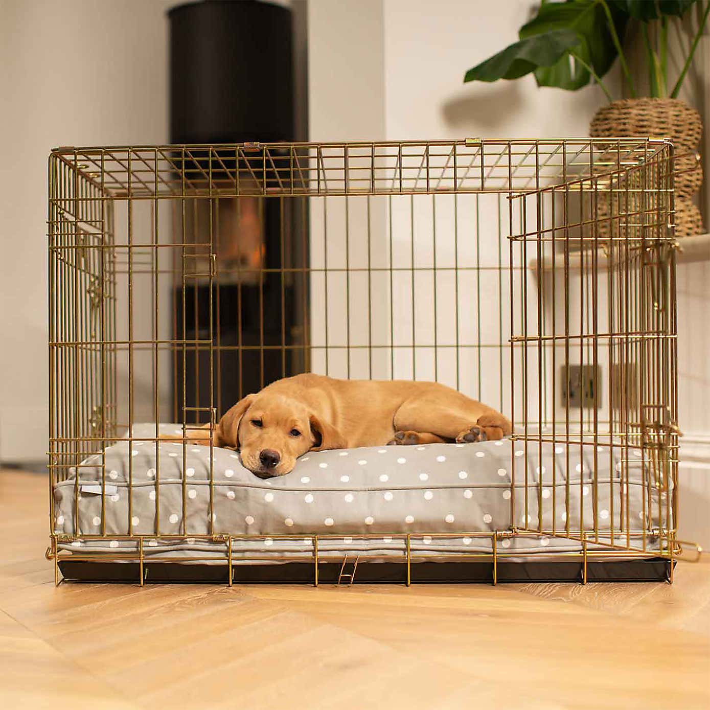 Lords and Labradors Spotty Dog Cushion