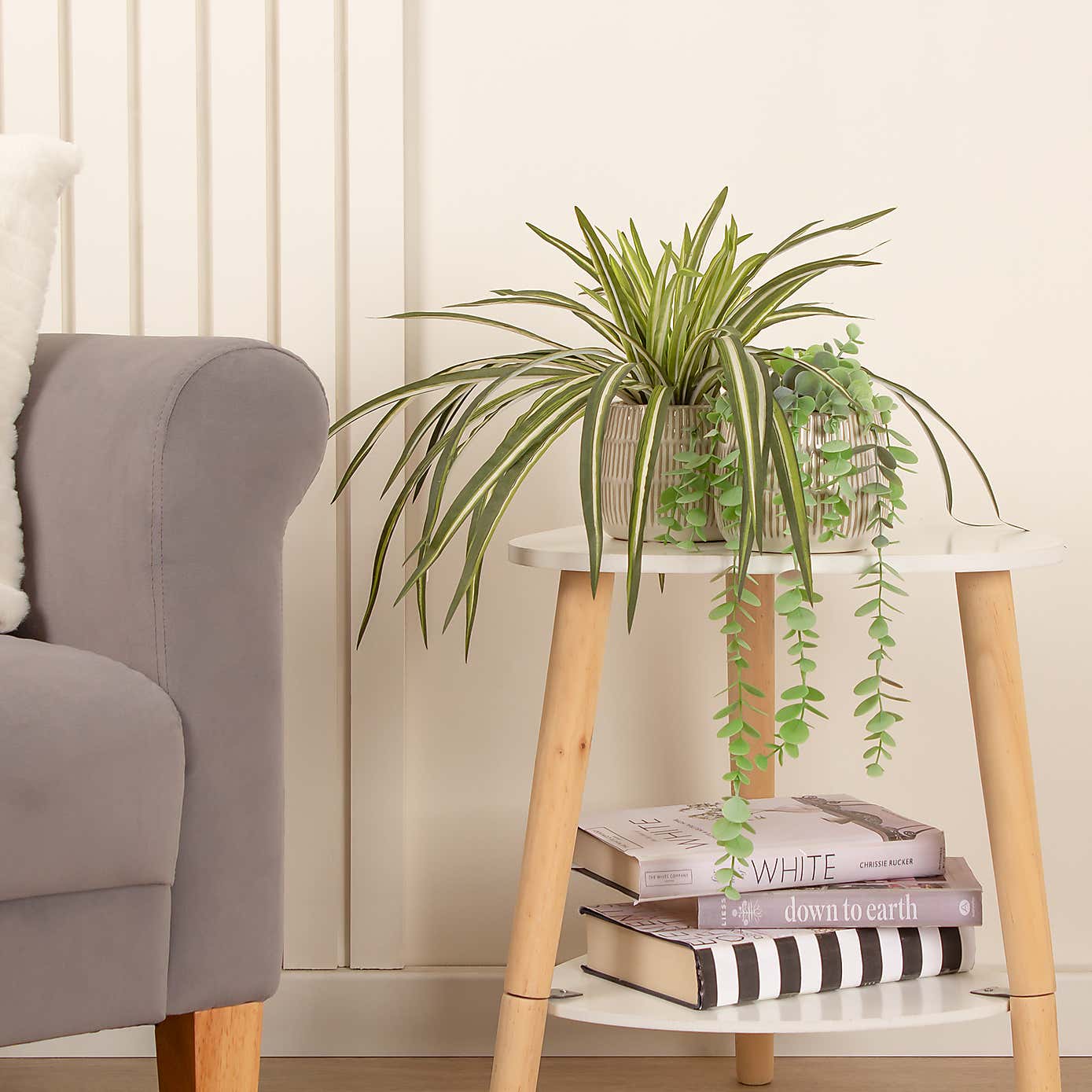 Artificial Set of 2 Spider and Eucalyptus Plants in Ribbed Ceramic Plant Pots