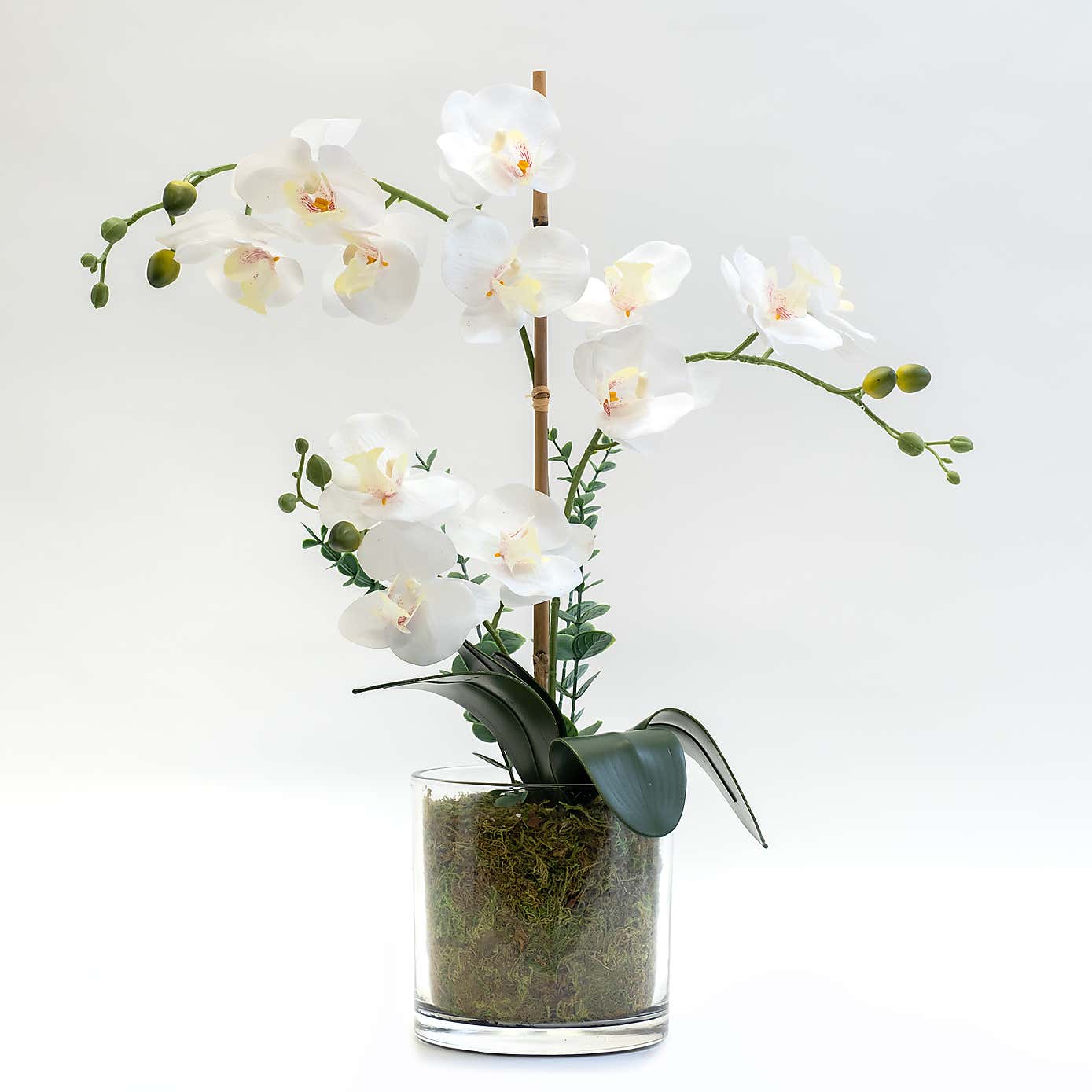 Artificial White Orchid with Eucalyptus in Glass Plant Pot