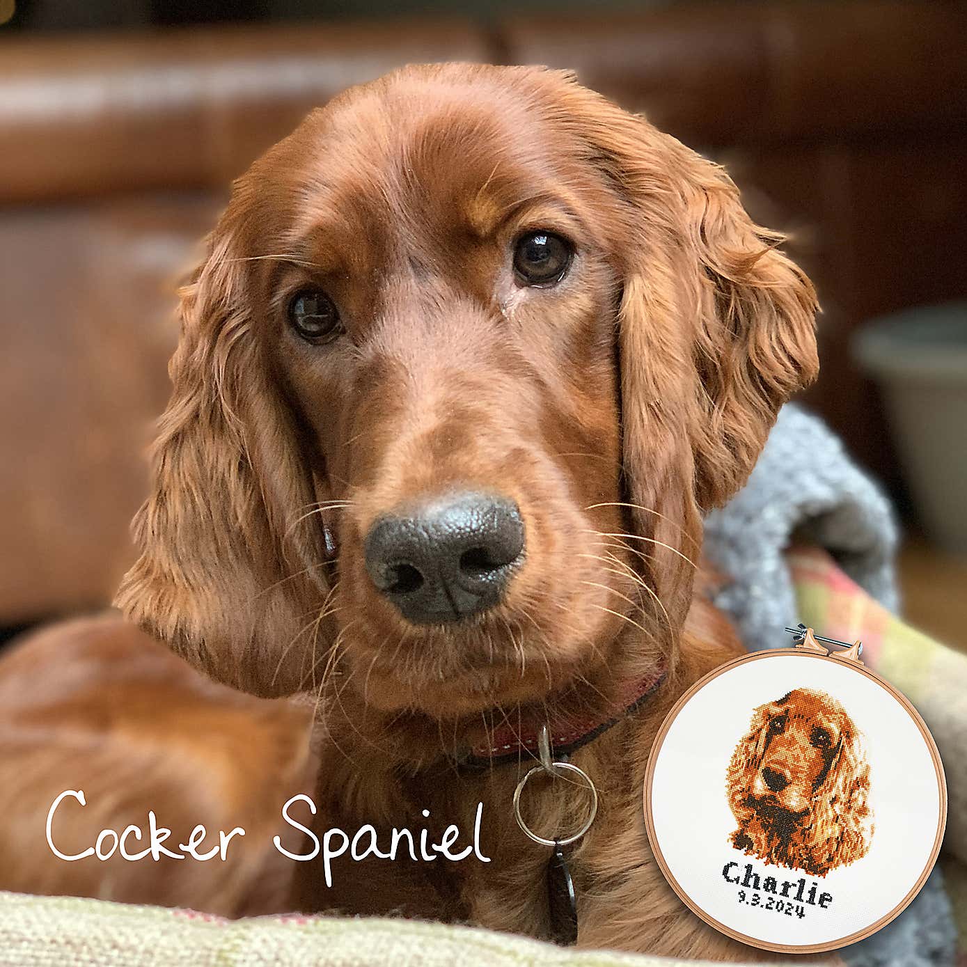 Cross Stitch Cocker Spaniel