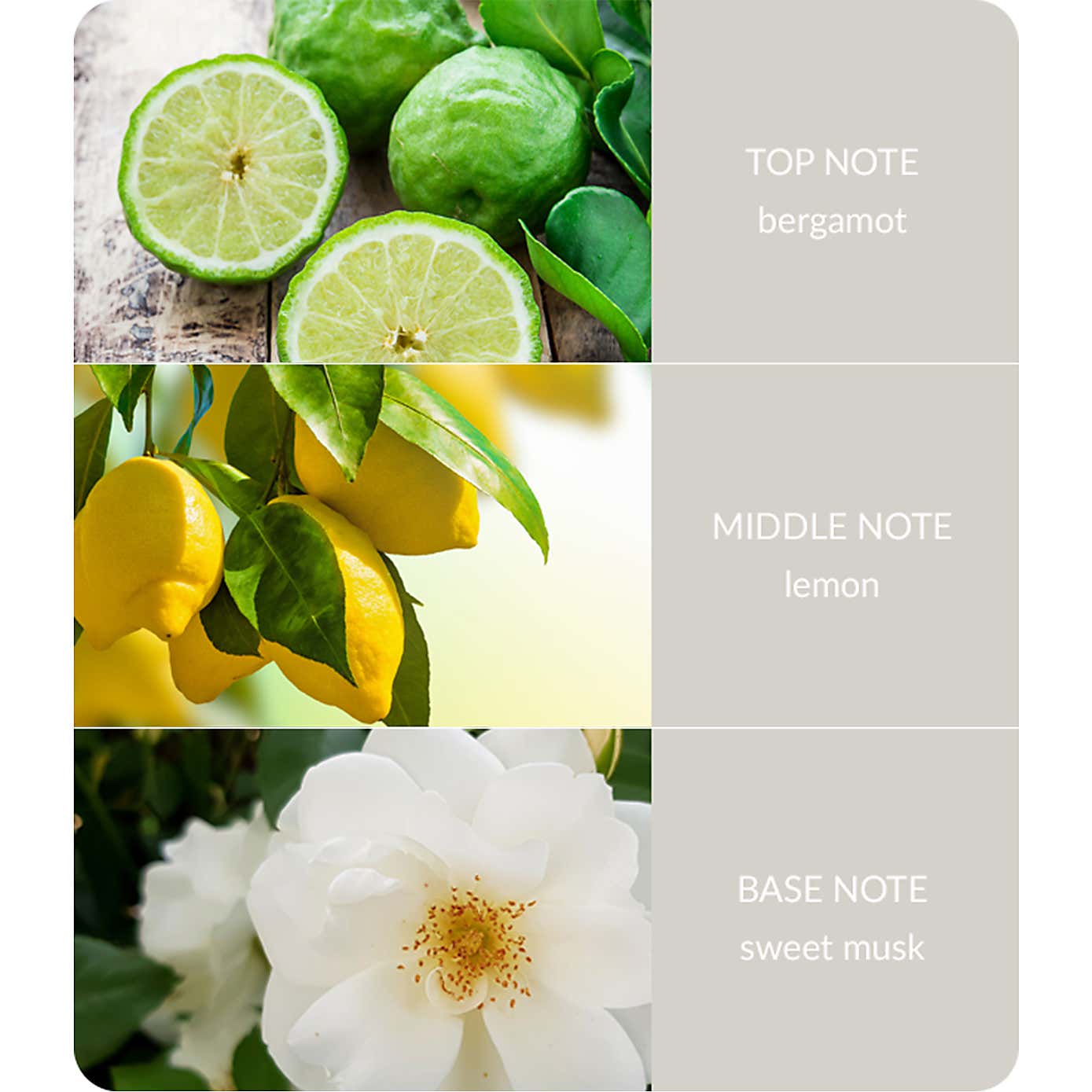 Heart and Home Ellipse Guardian Angel Multi Wick Candle