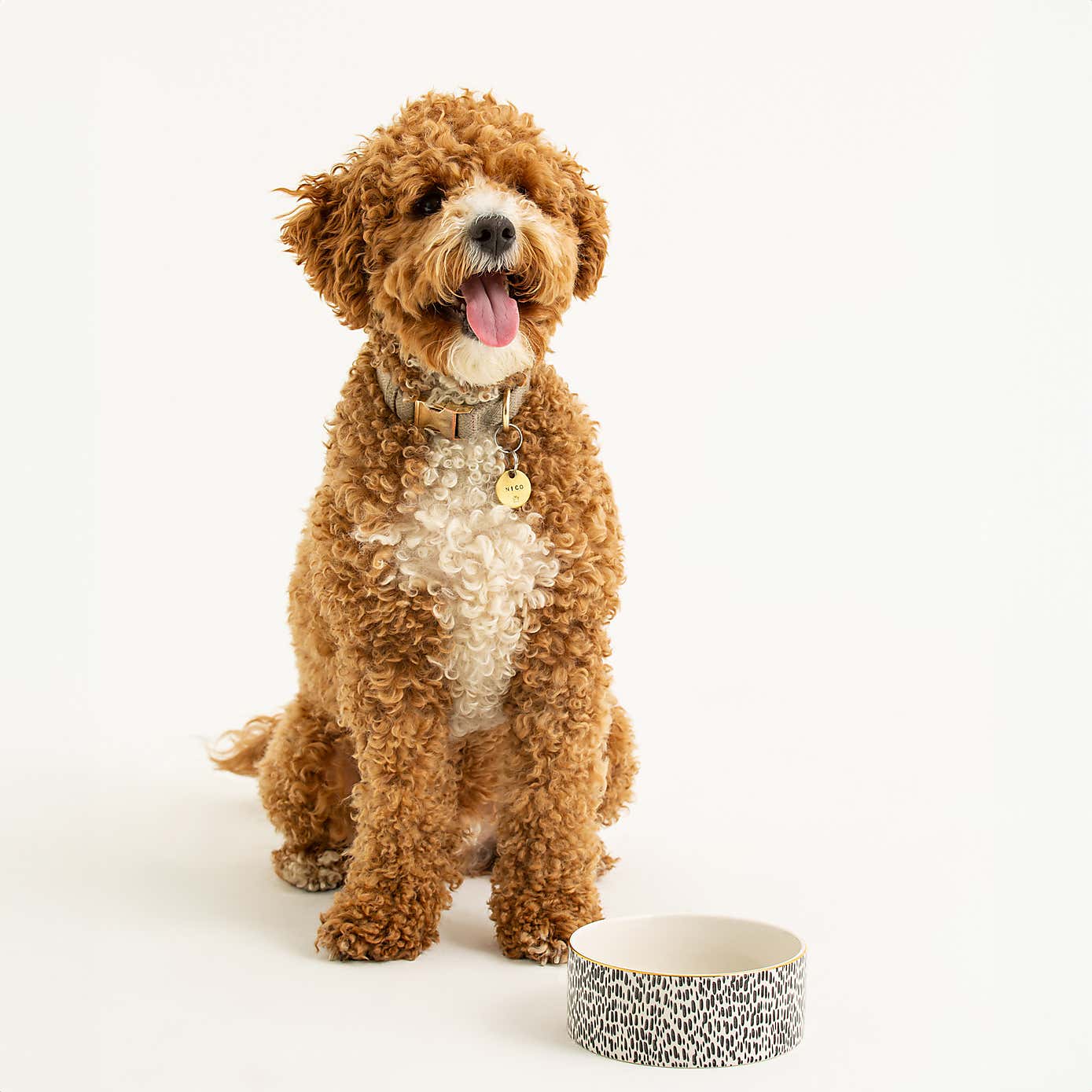 Set of 2 Gold Rim Spotty Dog Bowls