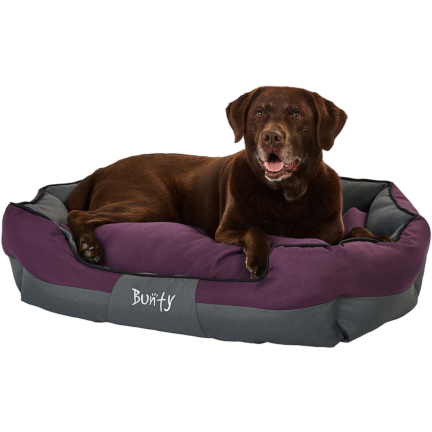 Bunty Pets Anchor Pet Bed