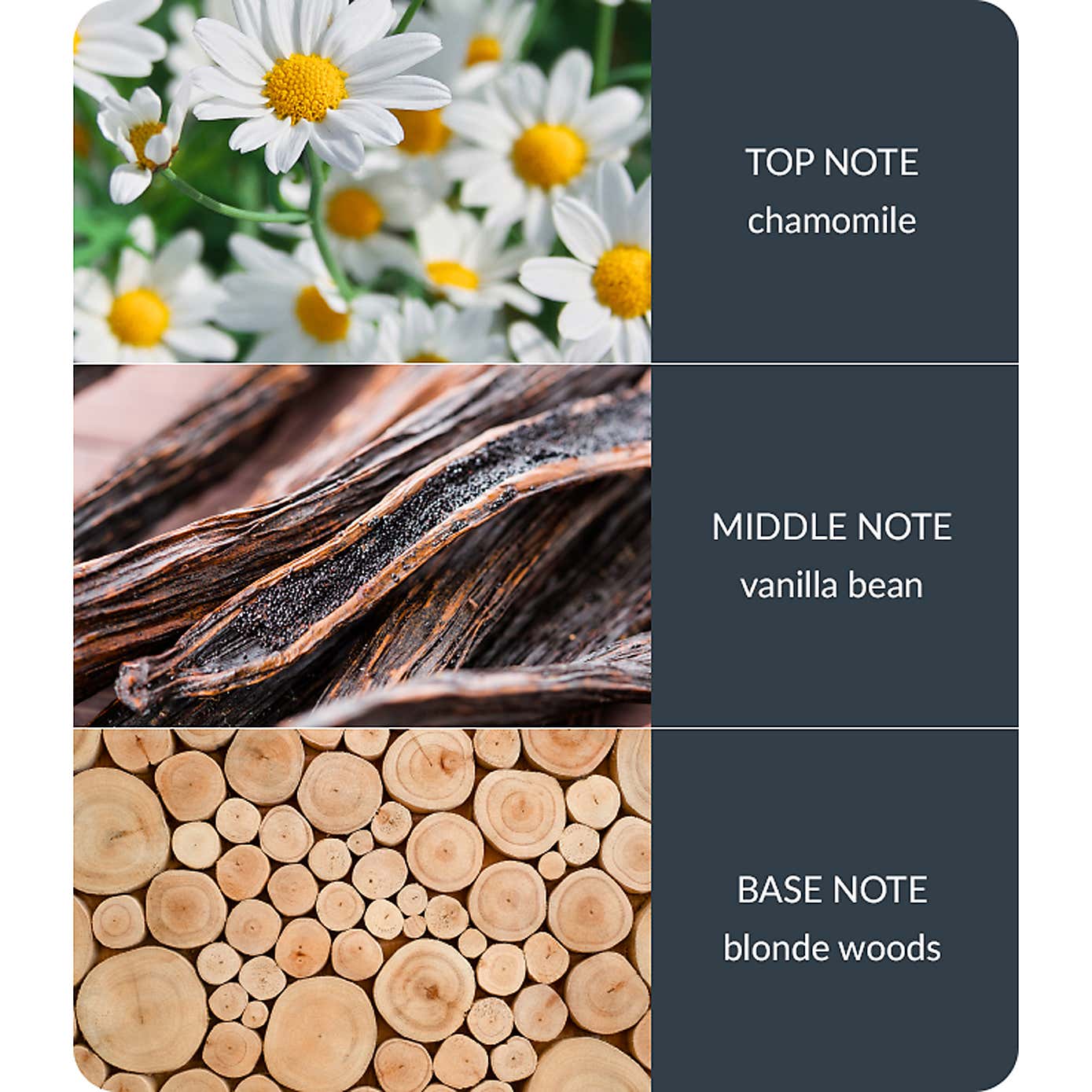 Bamboo Vanilla & White Woods Diffuser