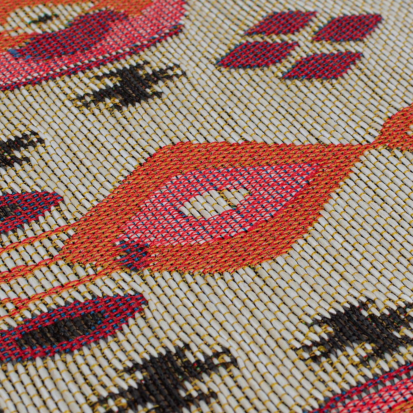 Jaipur Indoor Outdoor Traditional Rug