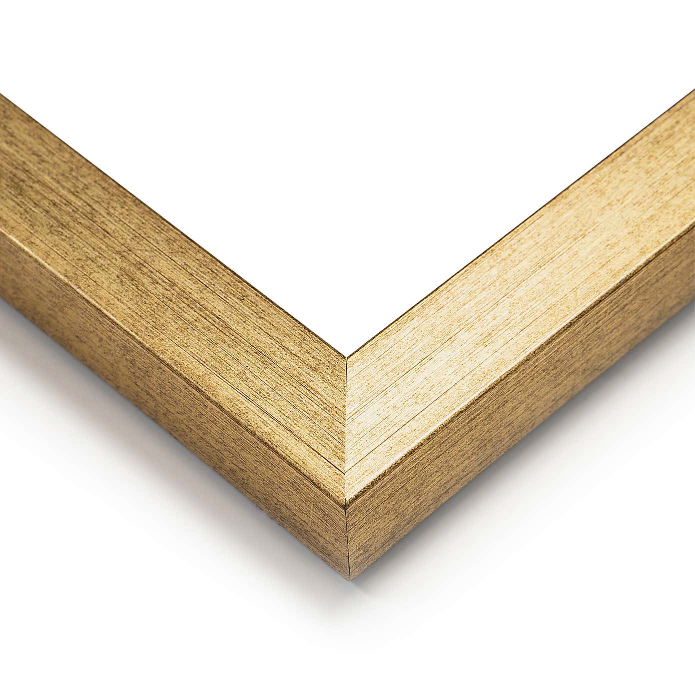 Jungle Rendezvous by andrea Haase Set of 2 Framed Prints