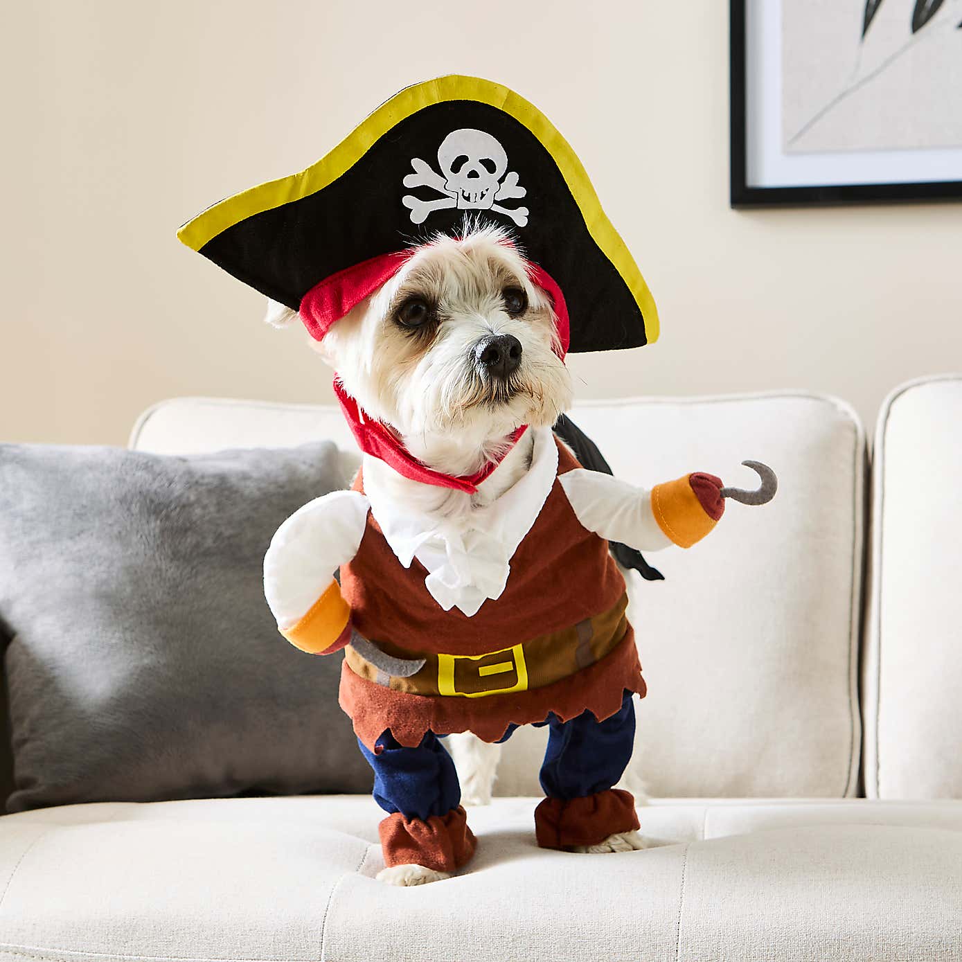 Dog Pirate Costume