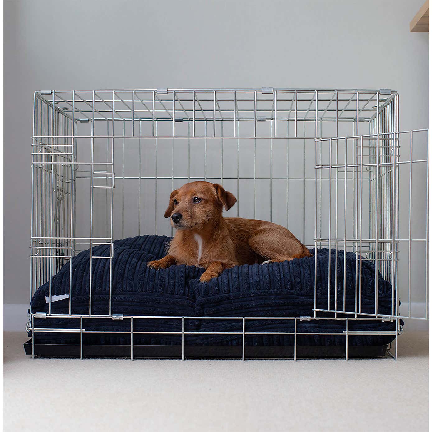 Lords and Labradors Dog Cushion