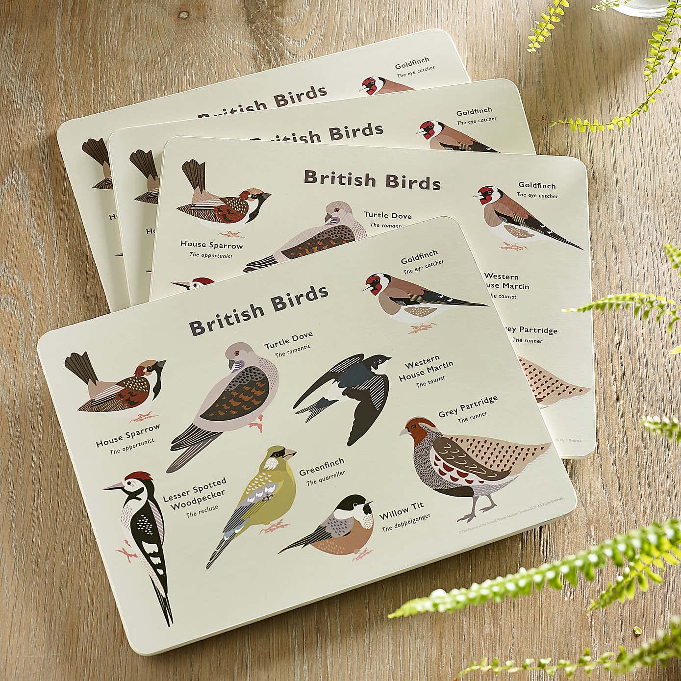 Set of 4 Birds Placemats