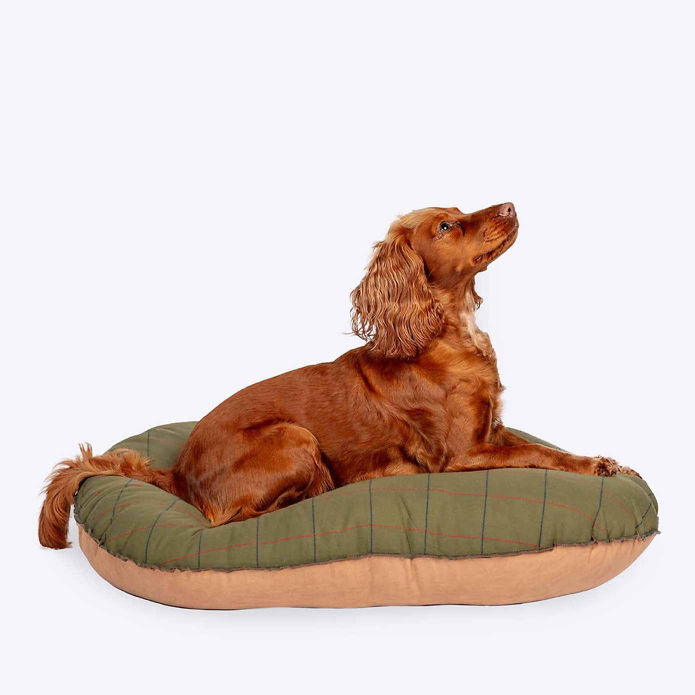 Danish Design Tweed Quilted Dog Mattress