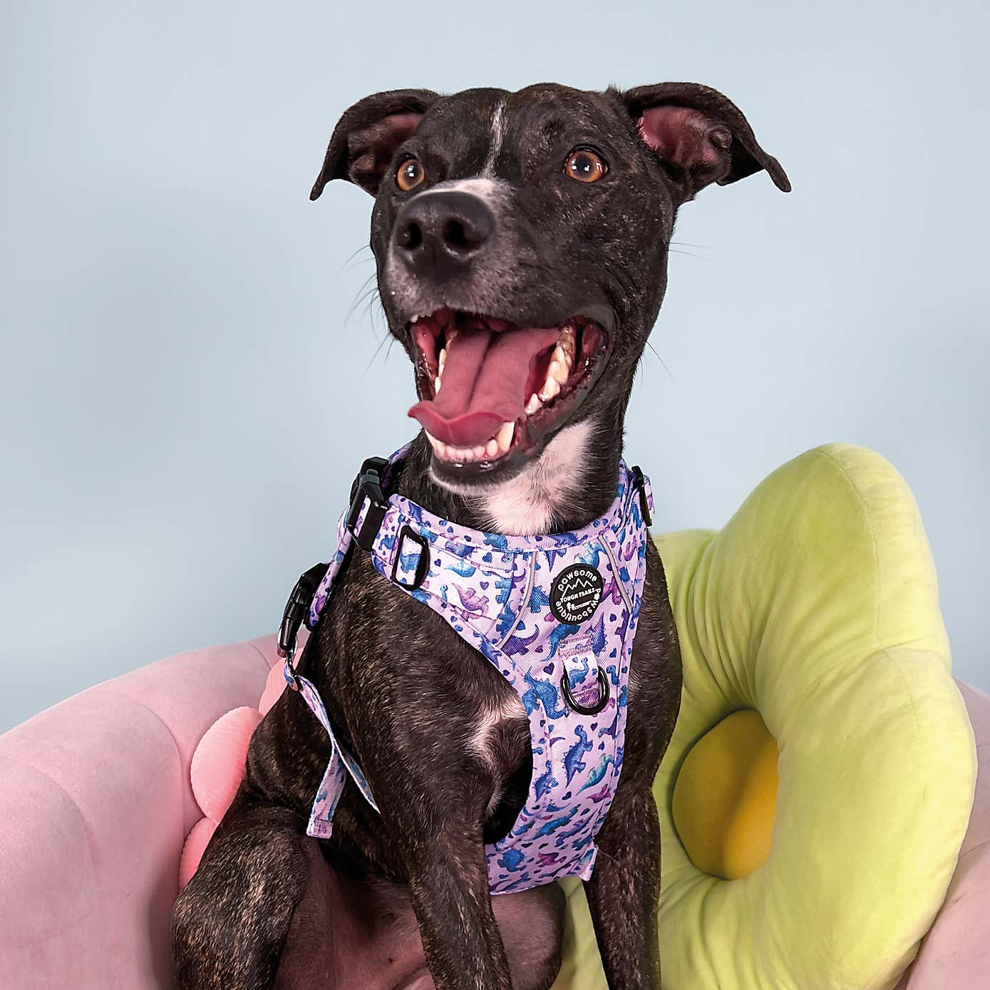 Tiny Diny Tough Trails Dog Harness