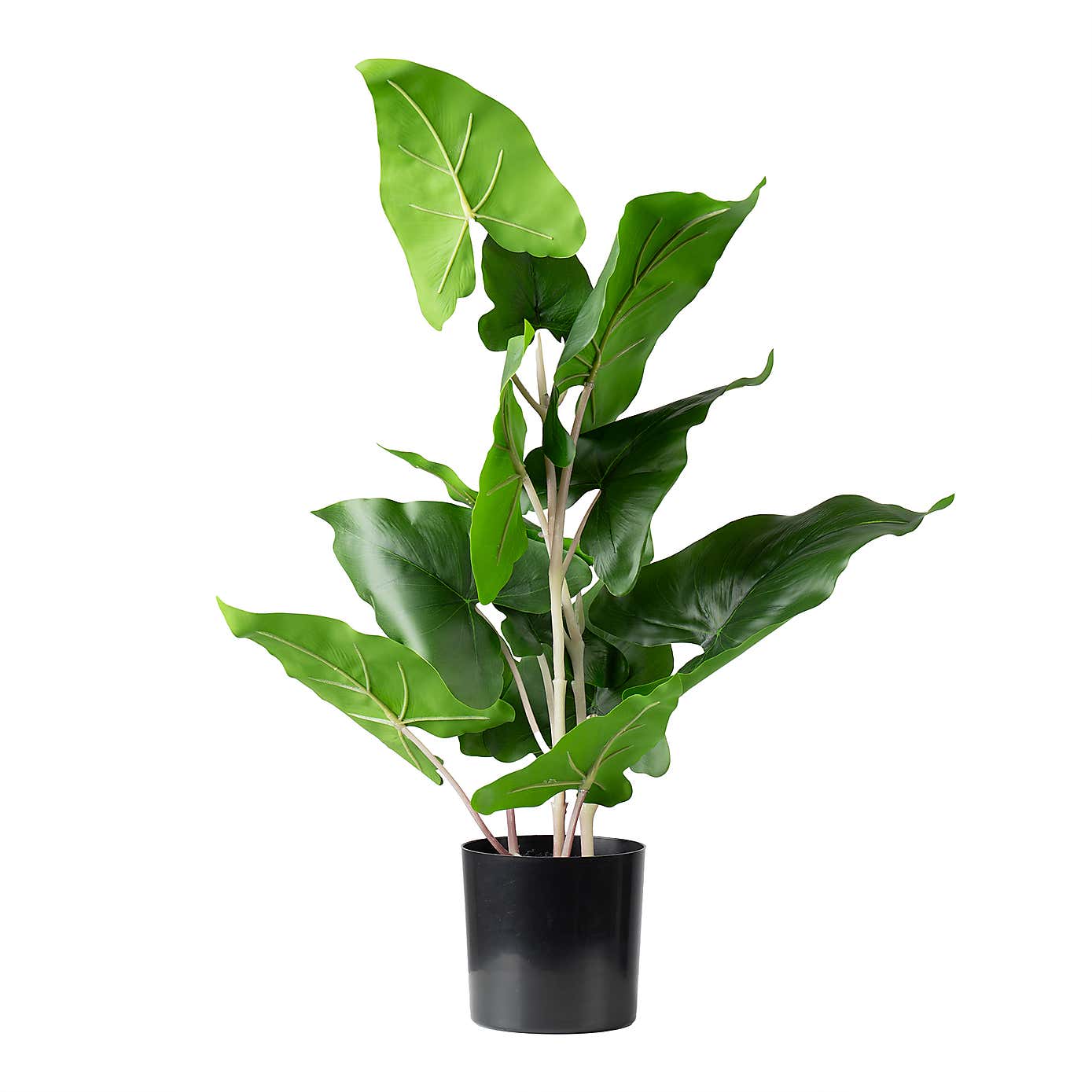 Artificial Real Touch Typhonium in Black Plastic Plant Pot