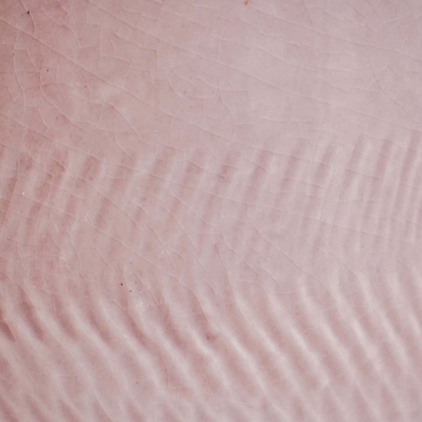 Camellia Scalloped Edge Ceramic Plant Pot