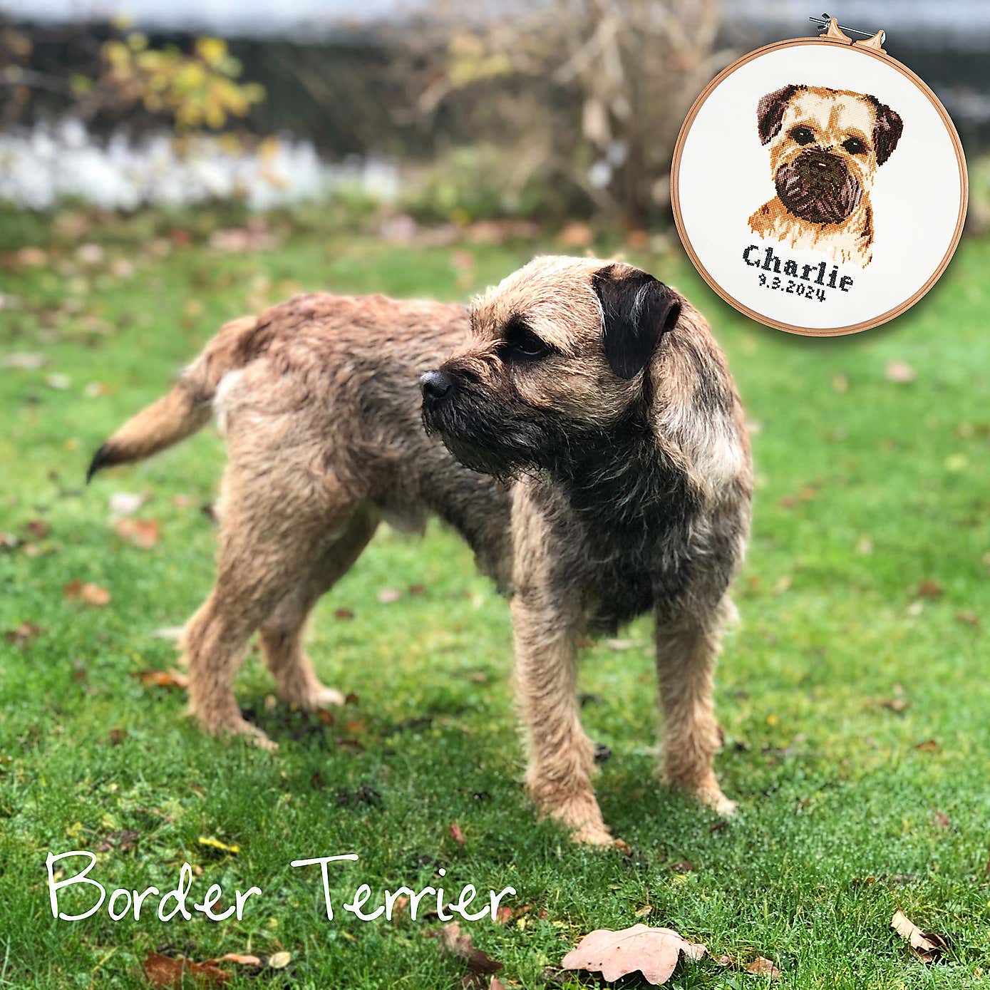 Cross Stitch Boarder Terrier
