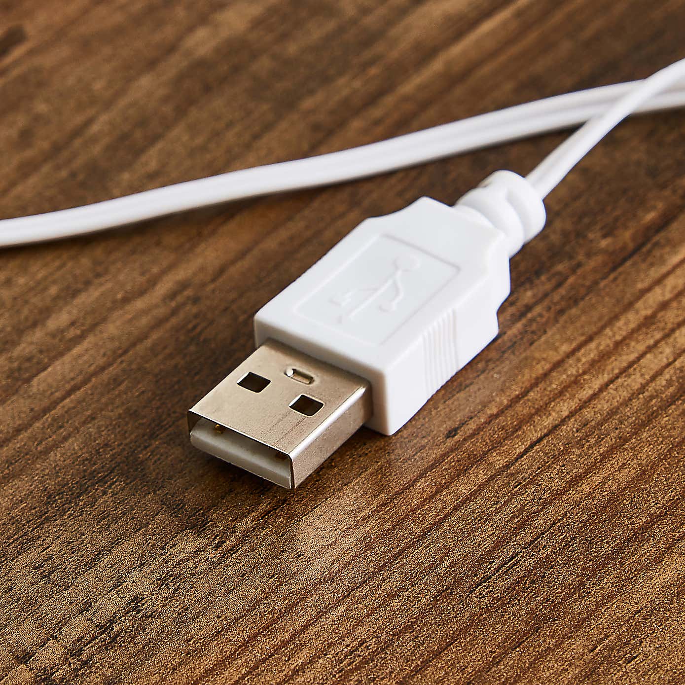 Leaf Neon Wall Light