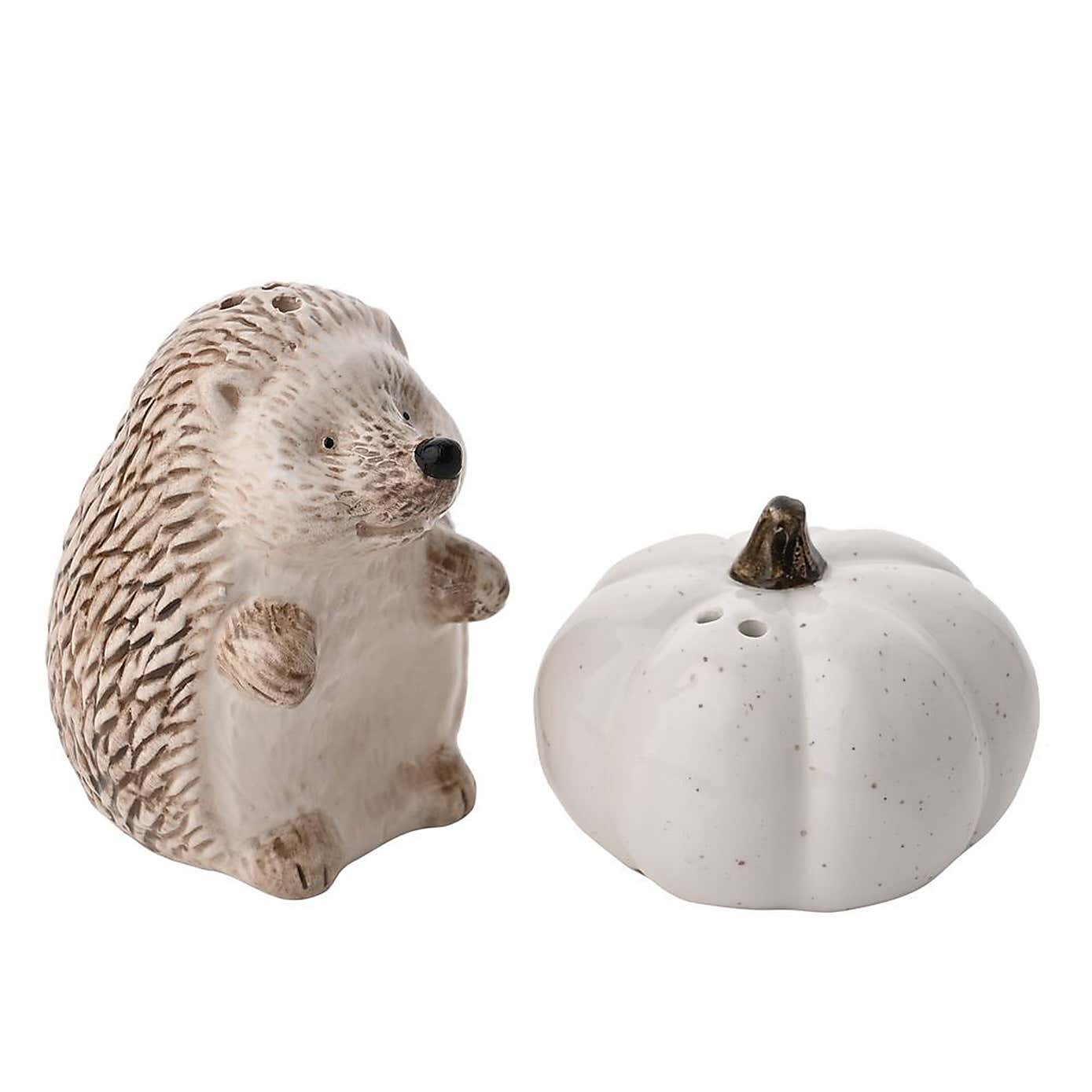 Country Living Ceramic Hedgehog & Pumpkin Salt & Pepper Set