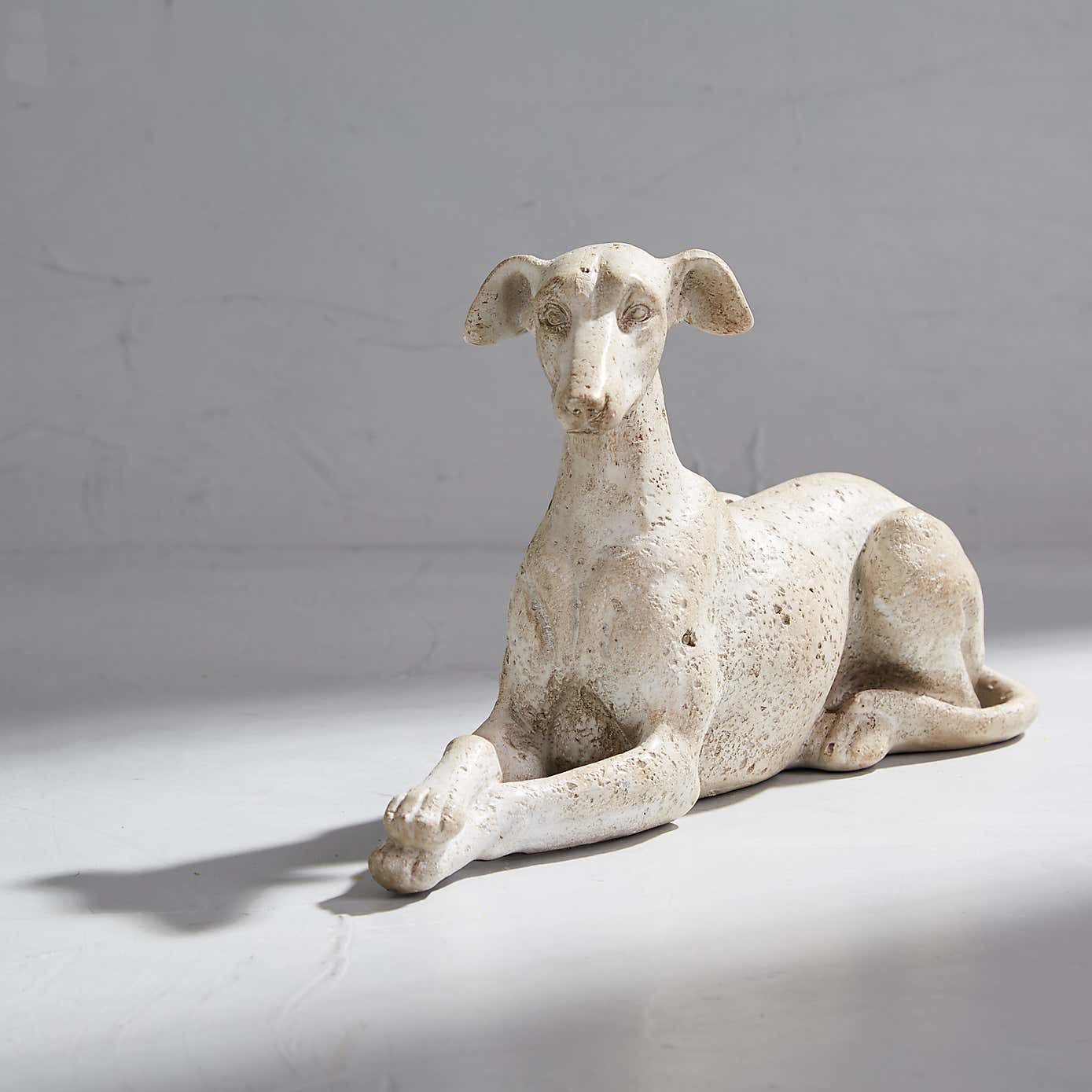 Dorma Lying Down Greyhound
