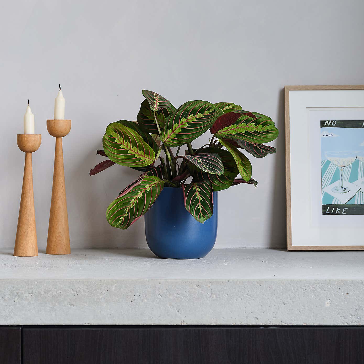 Prayer House Plant in Earthenware Pot