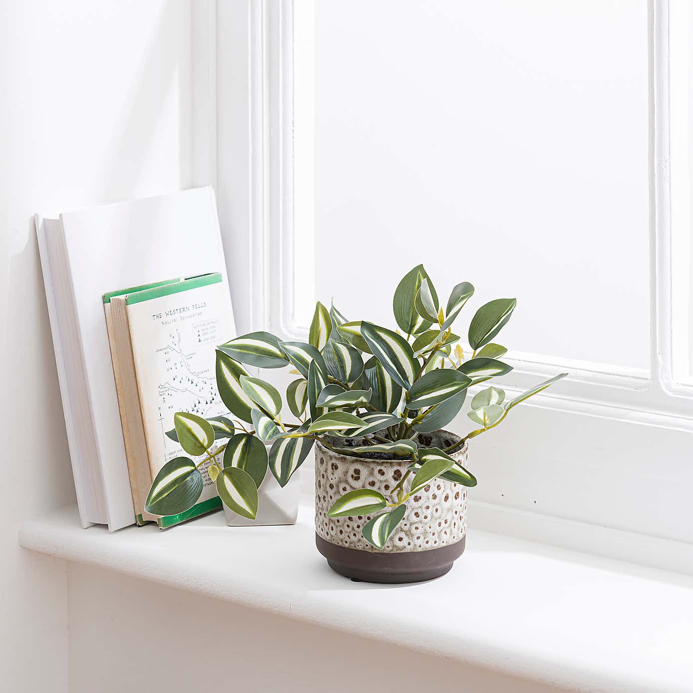 Artificial Tradescantia Plant in Speckled Ceramic Plant Pot