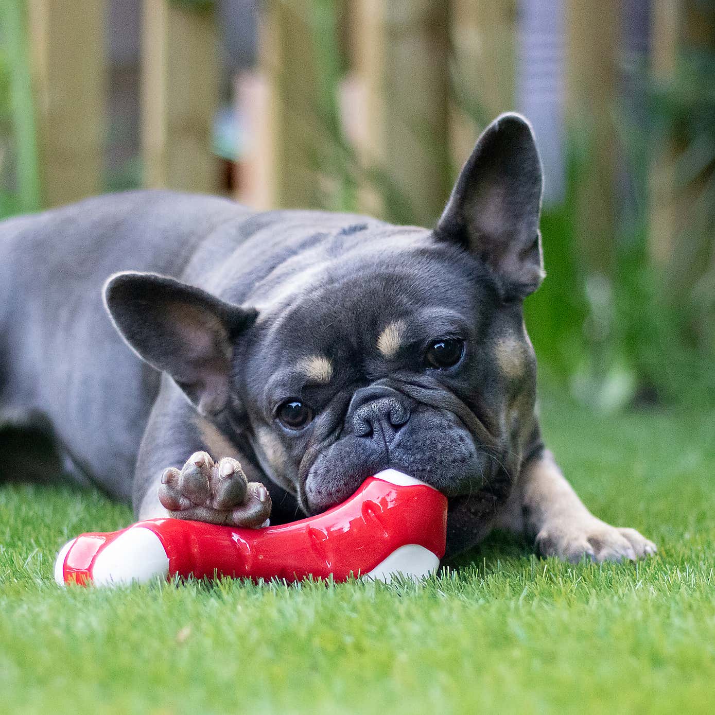 Meaty Chicken Takeaway Bone Small