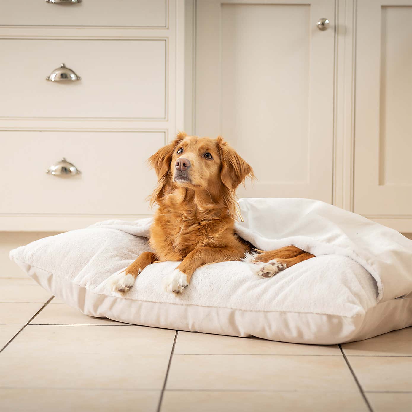 Lords and Labradors Burrow Dog Bed