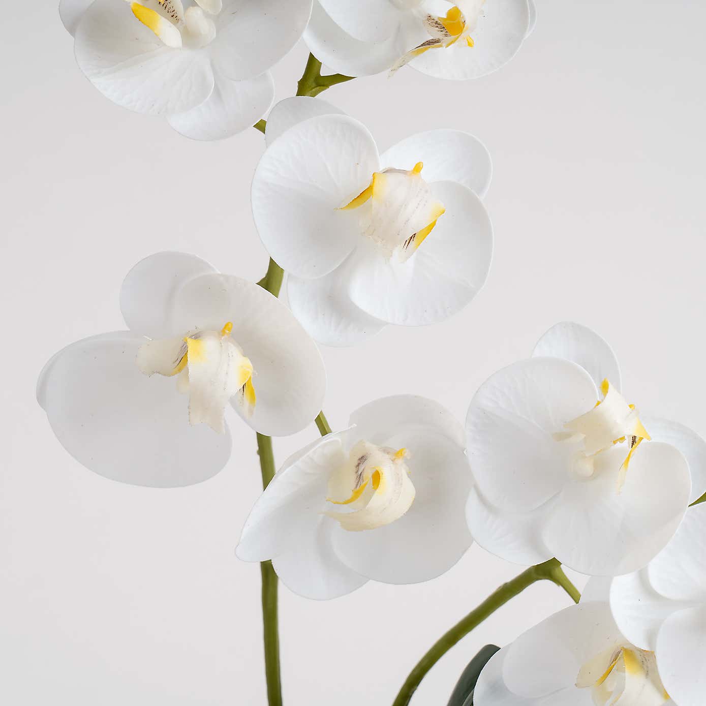 Artificial Real Touch Mini Phalaenopsis Orchid in Cement Pot