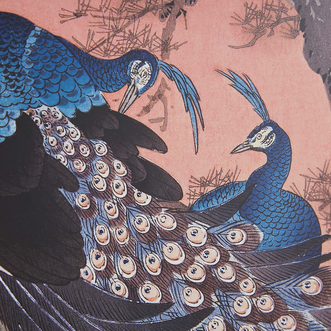 Two Peacocks on Tree Branch by Ohara Koson Framed Print