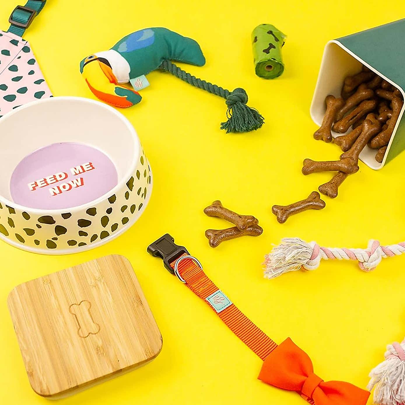 Emily Brooks Dog Bowl, Toucan Toy and Treat Pouch