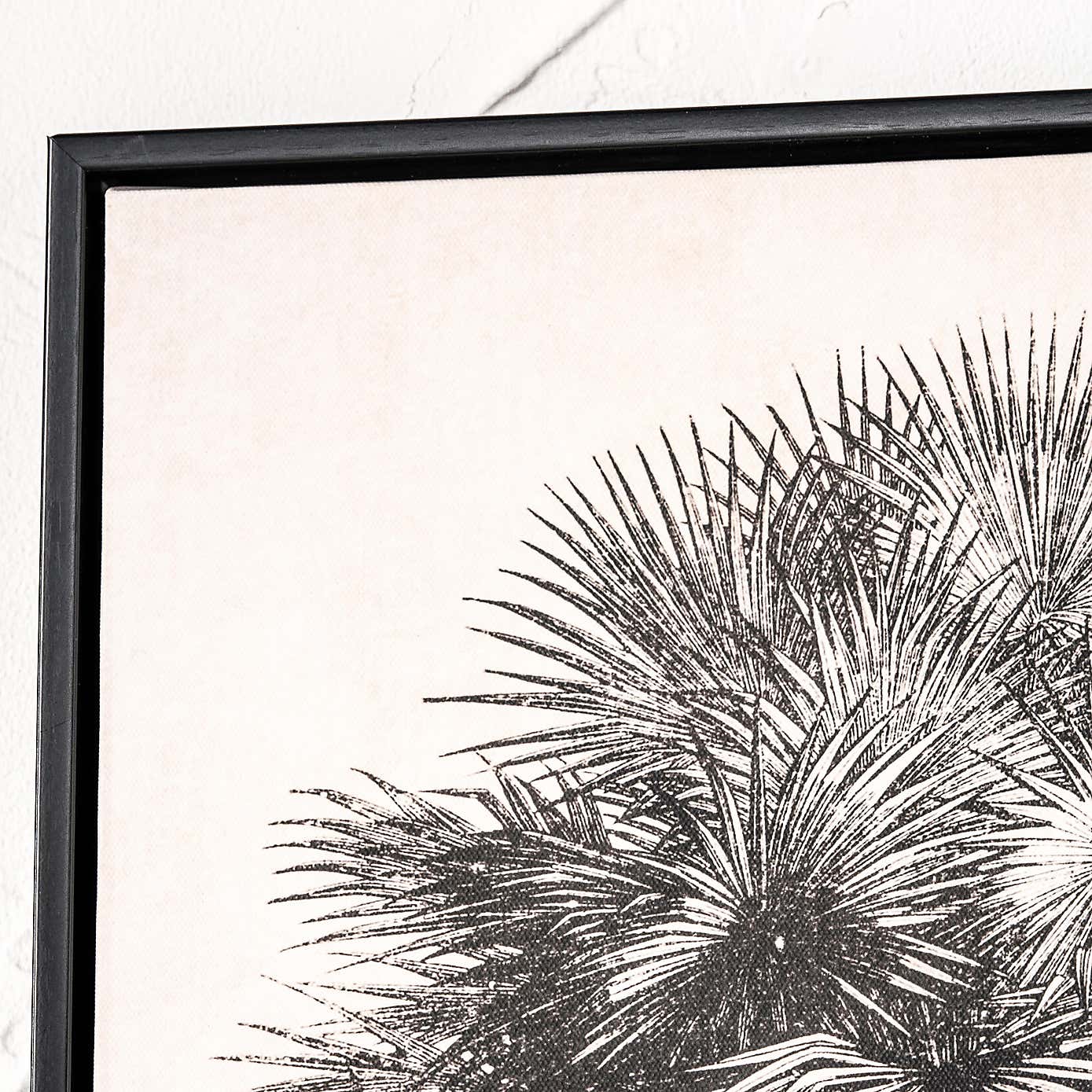 Set of 3 Monochrome Palm Print Framed Canvases