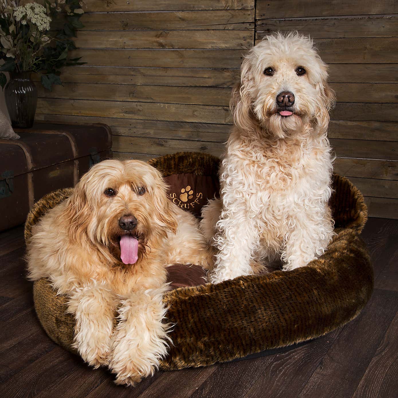 Scruffs Cub Bear Dog Bed