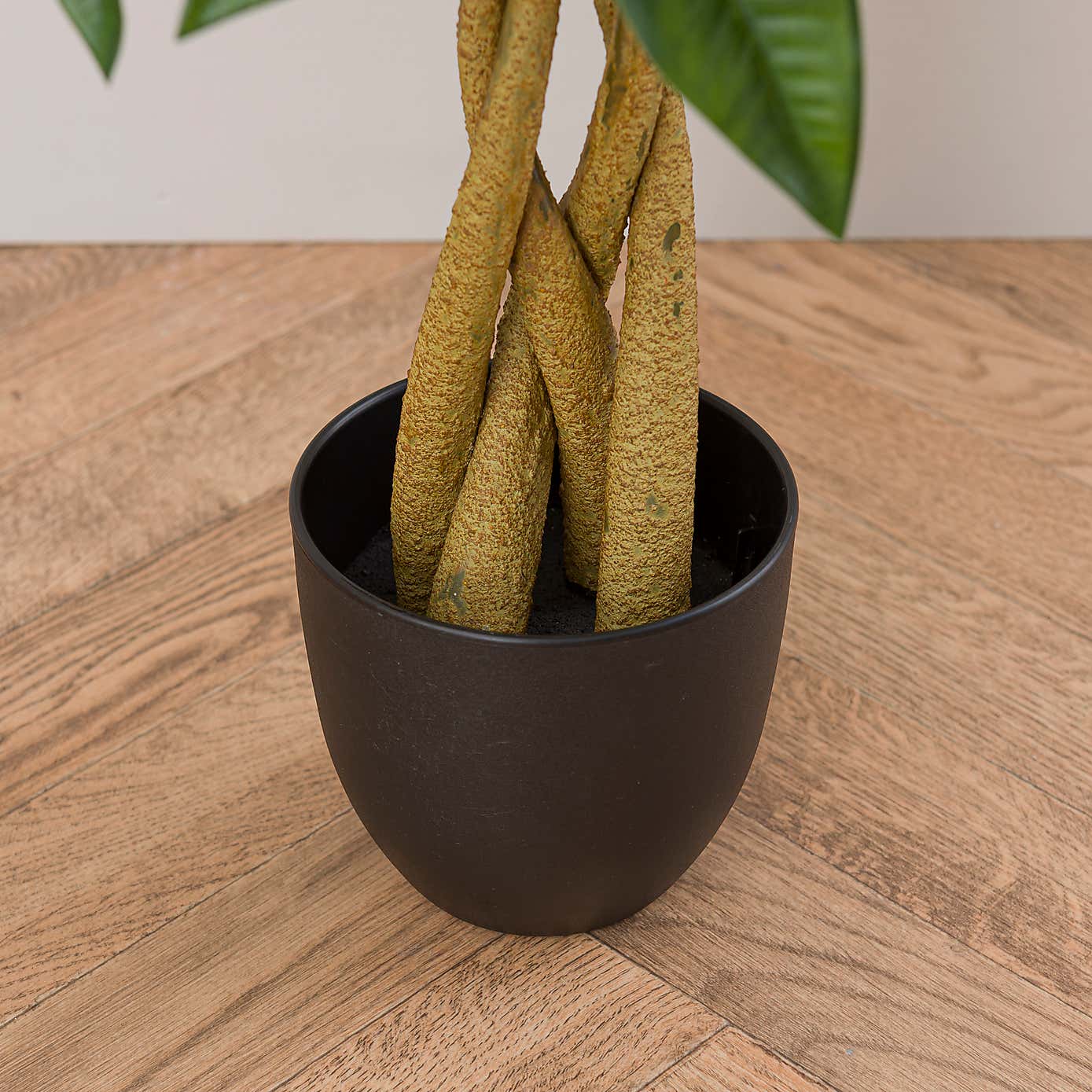 Artificial Money Tree Plant in Black Cement Plant Pot