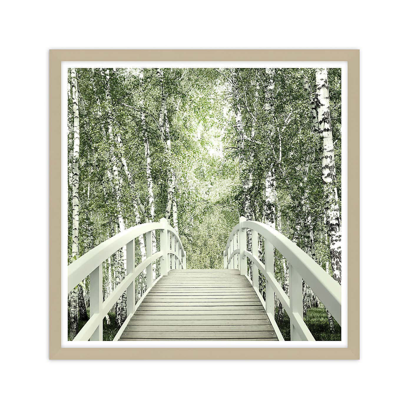 Bridge To The Birch Forest Framed Print