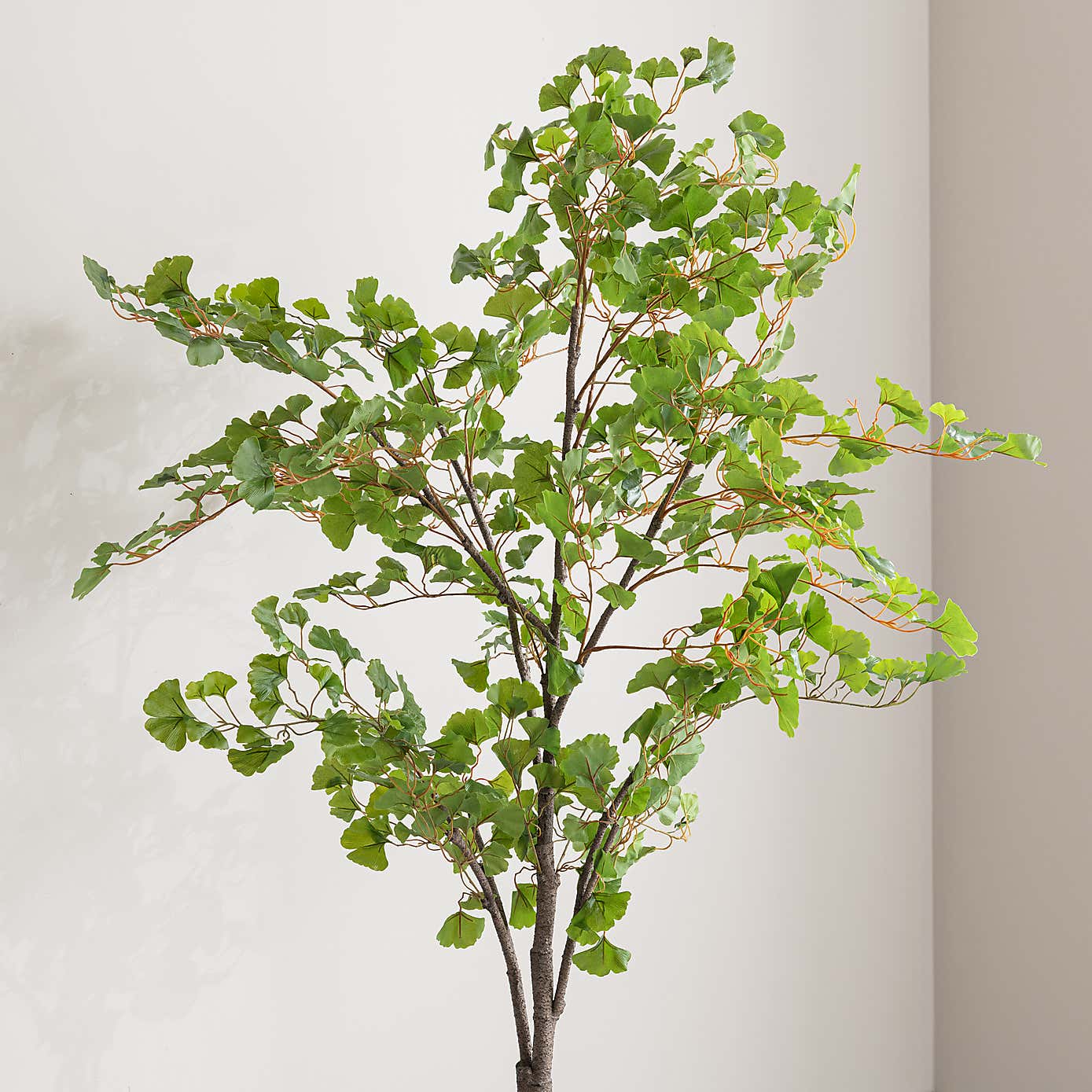 Artificial Ginkgo Tree in black Plant Pot