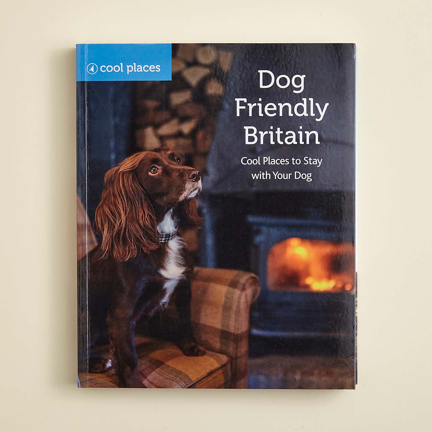Cool Places Dog Friendly Britain