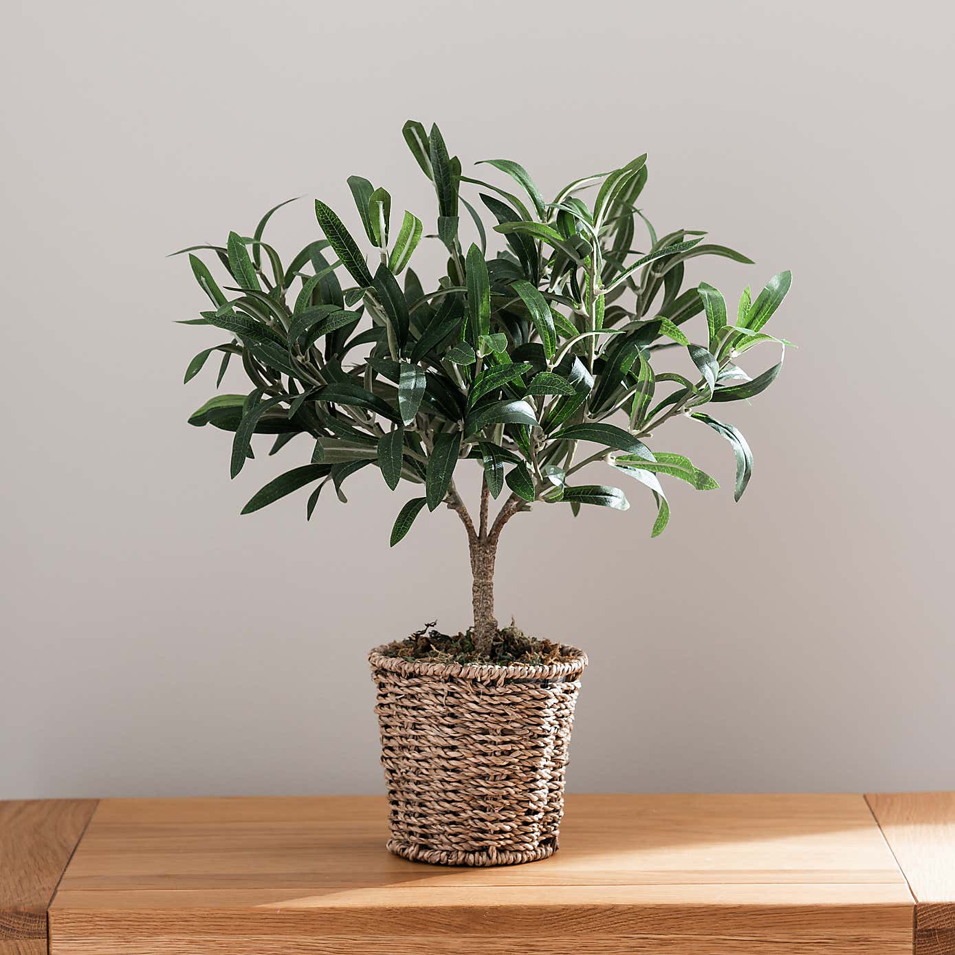 Churchgate Artificial Small Olive Tree in Woven Plant Pot
