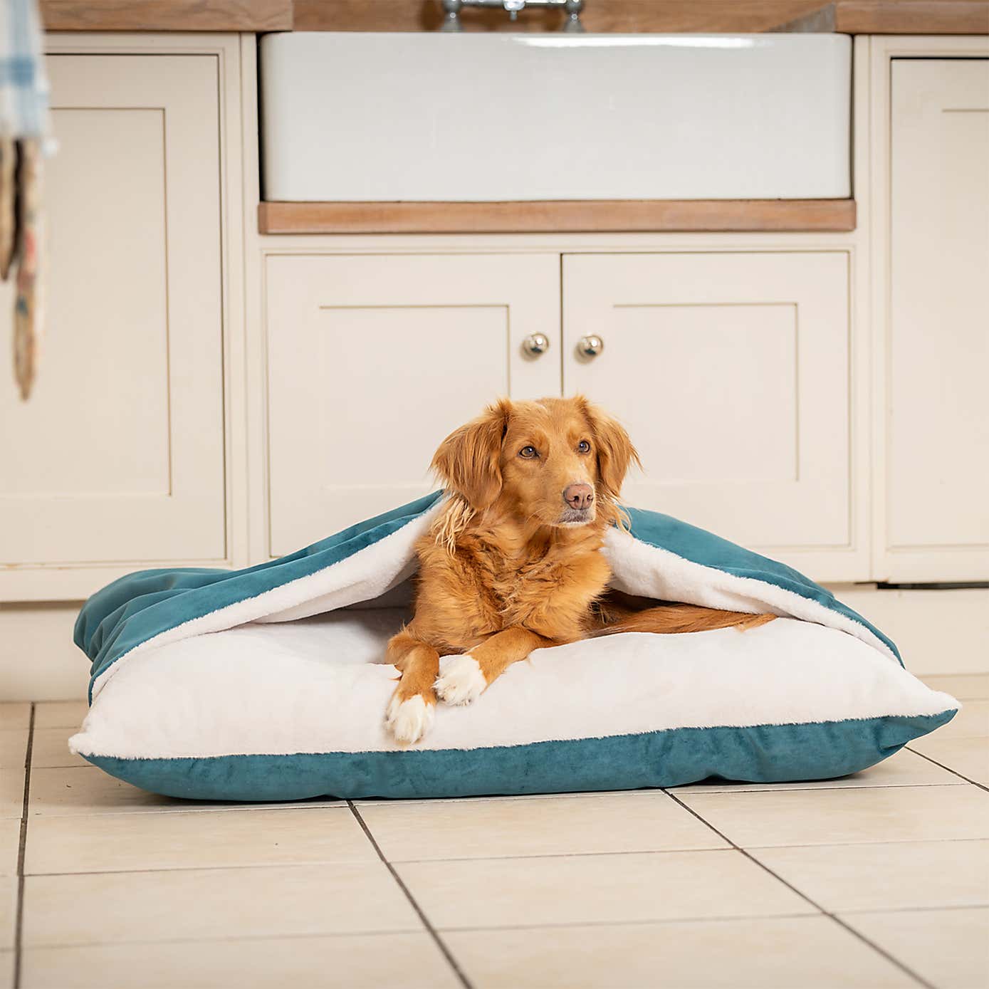 Lords and Labradors Burrow Dog Bed