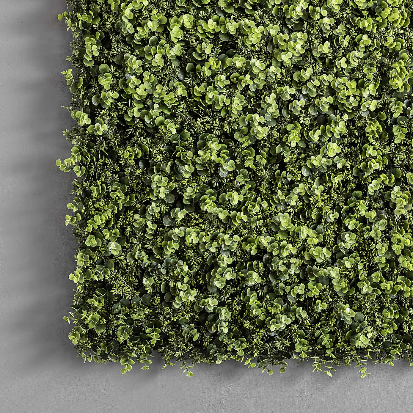 Artificial Eucalyptus and Sedum Wall Panels