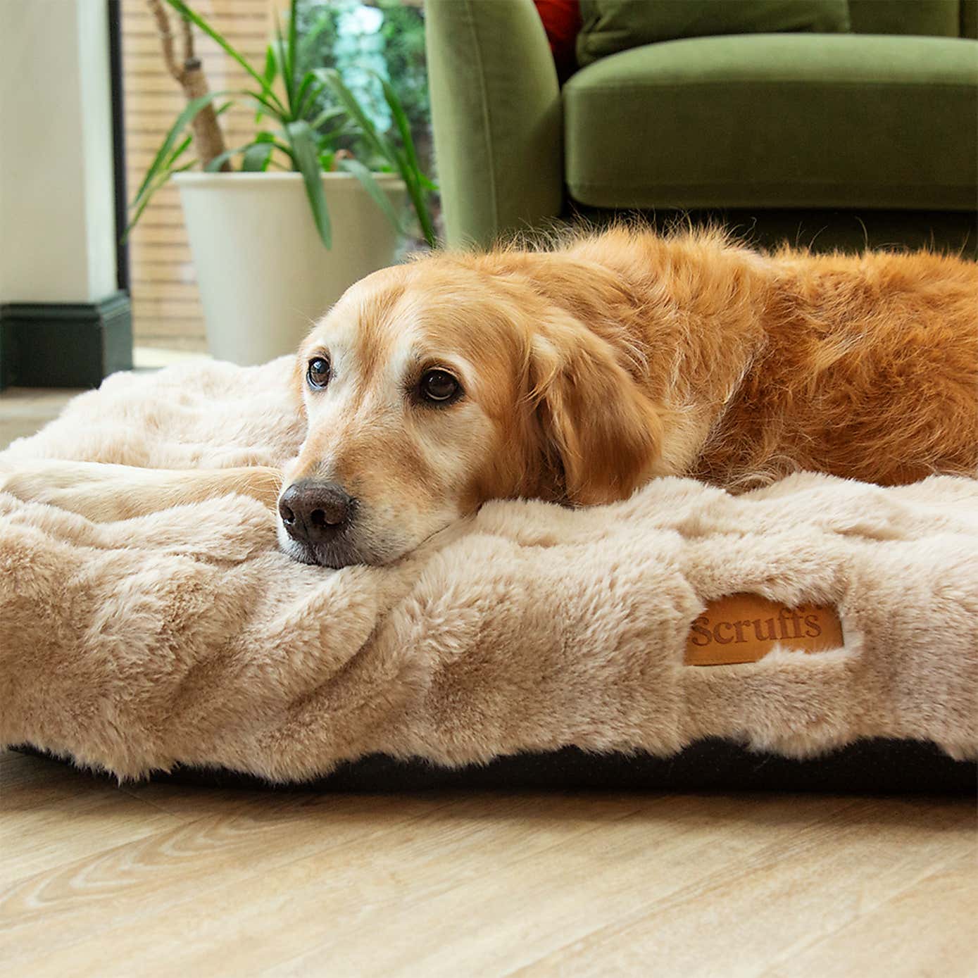 Scruffs Luxurious Alpine Dog Mattress