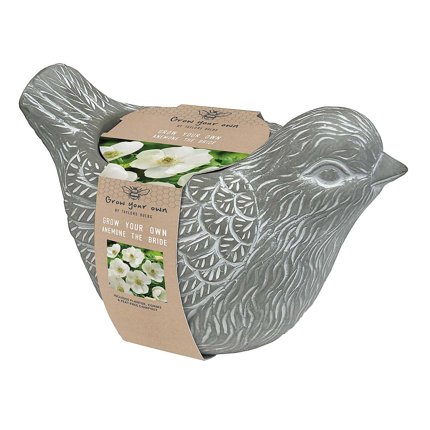 Taylor's Bulbs Stone Robin Planter and Anenone Kit