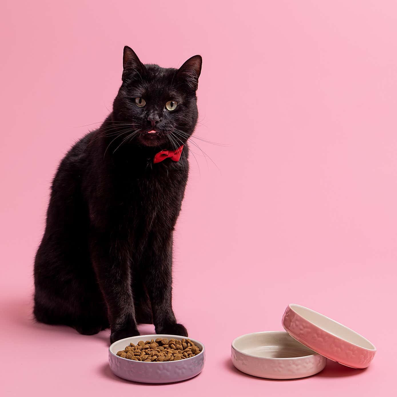 Mason Cash Set of 2 Cat Saucers