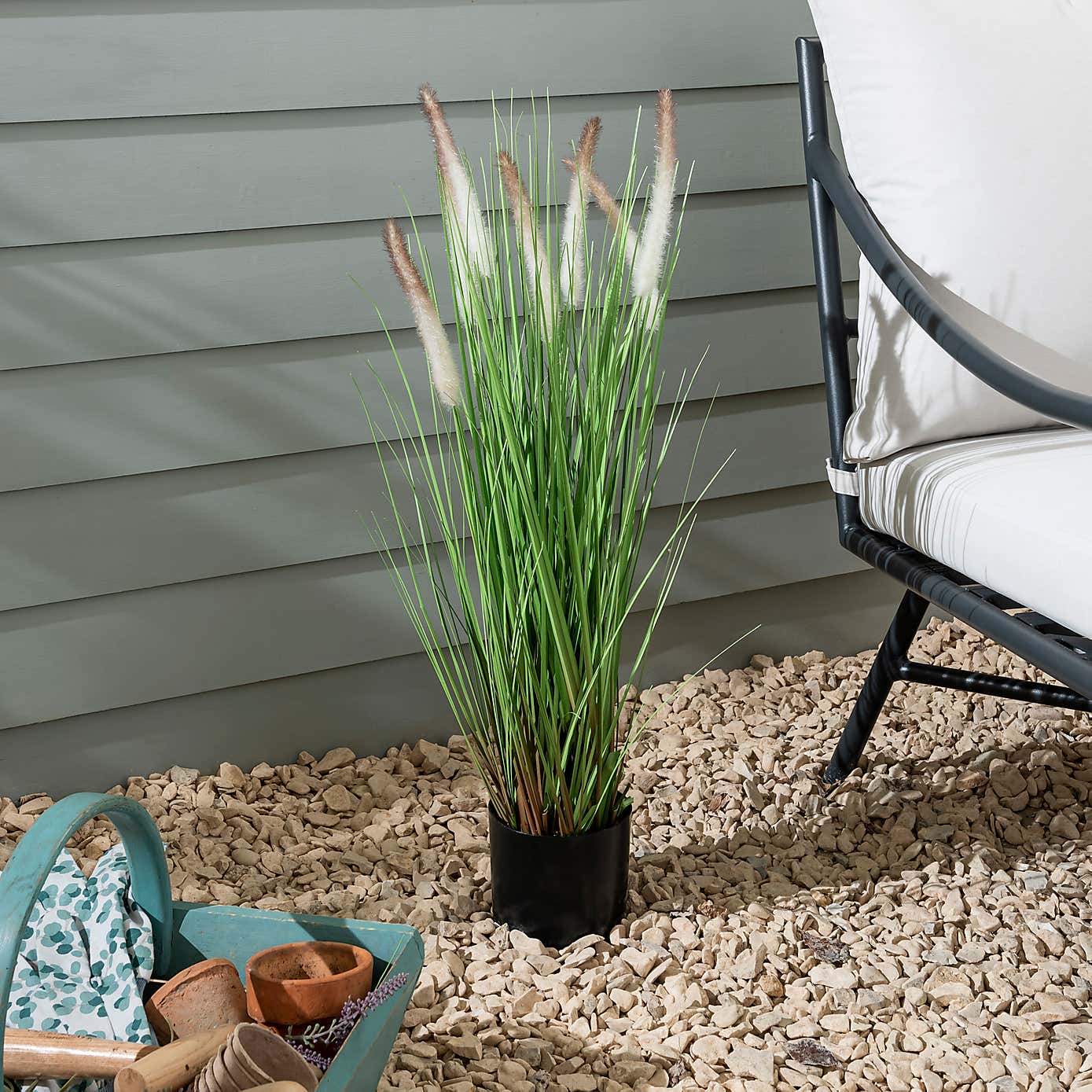 Foxtail Potted Grass 80cm