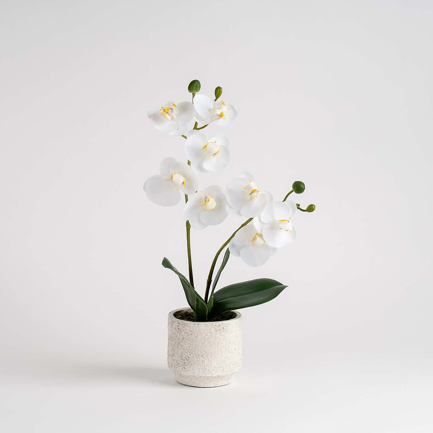 Artificial Real Touch Mini Phalaenopsis Orchid in Cement Pot