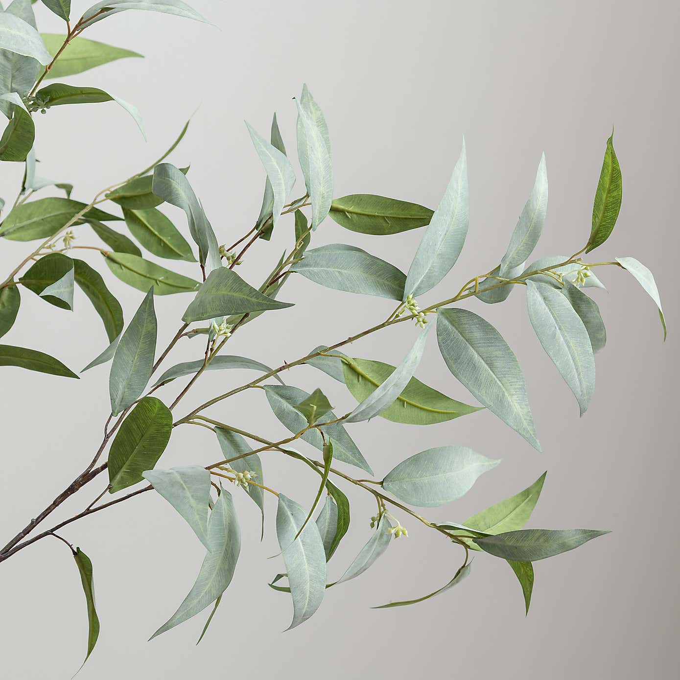 Artificial Green Seeding Gum Tree in Black Plant Pot