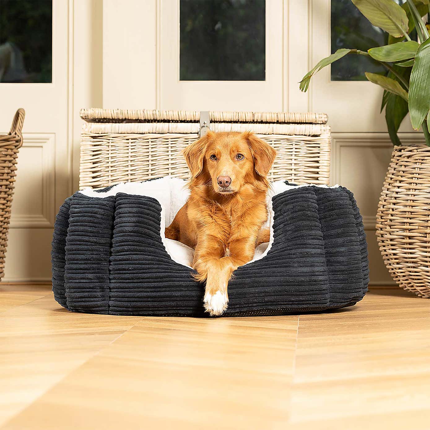 Lords and Labradors High Wall Dog Bed