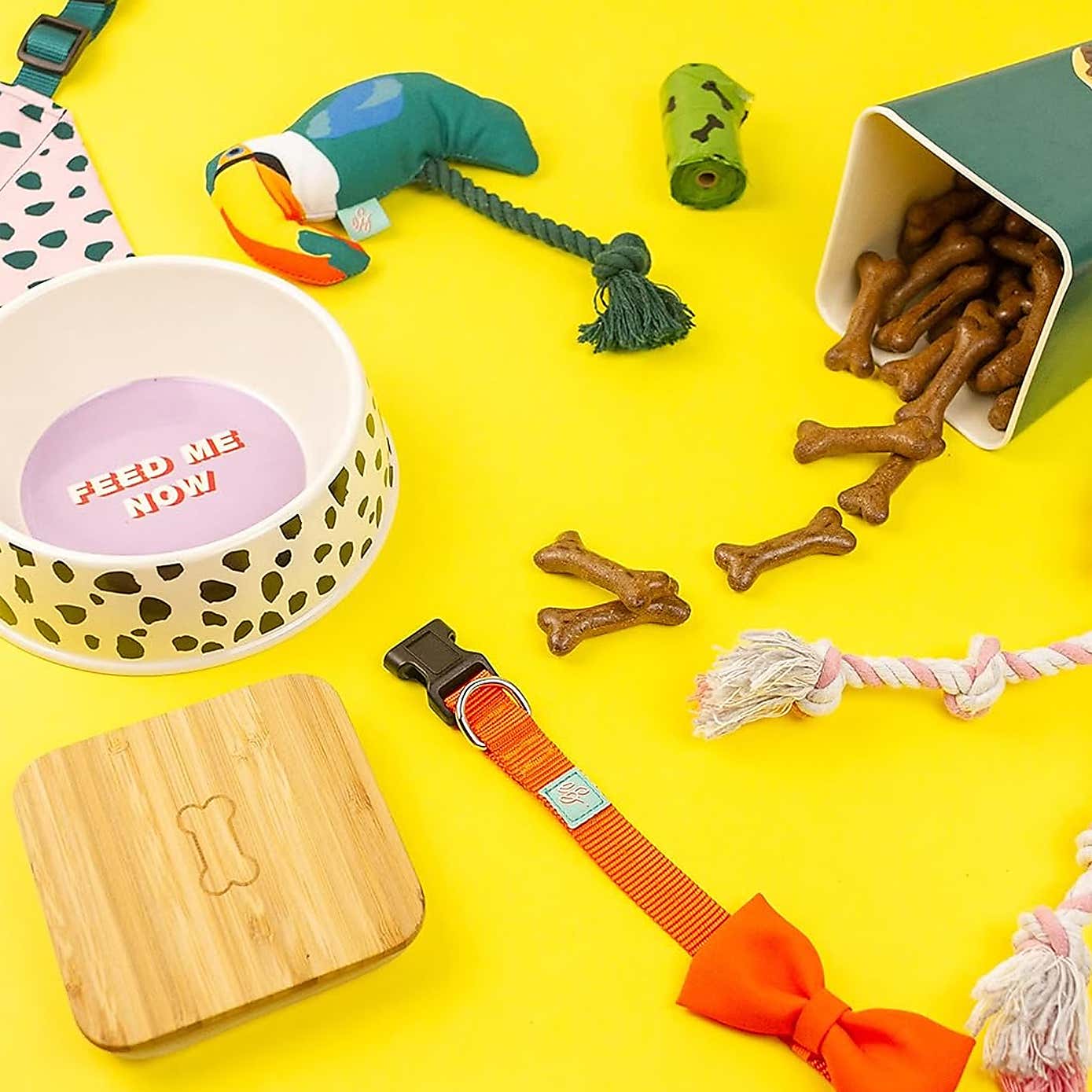 Emily Brooks Bamboo Dog Bowl, Treat Kit and Toucan Toy