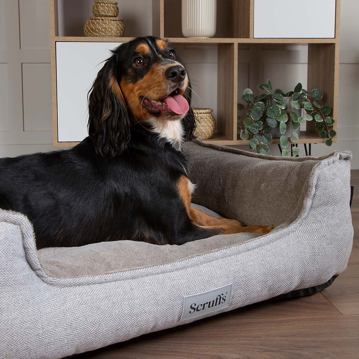 Scruffs Harvard Memory Foam Orthopaedic Box Bed