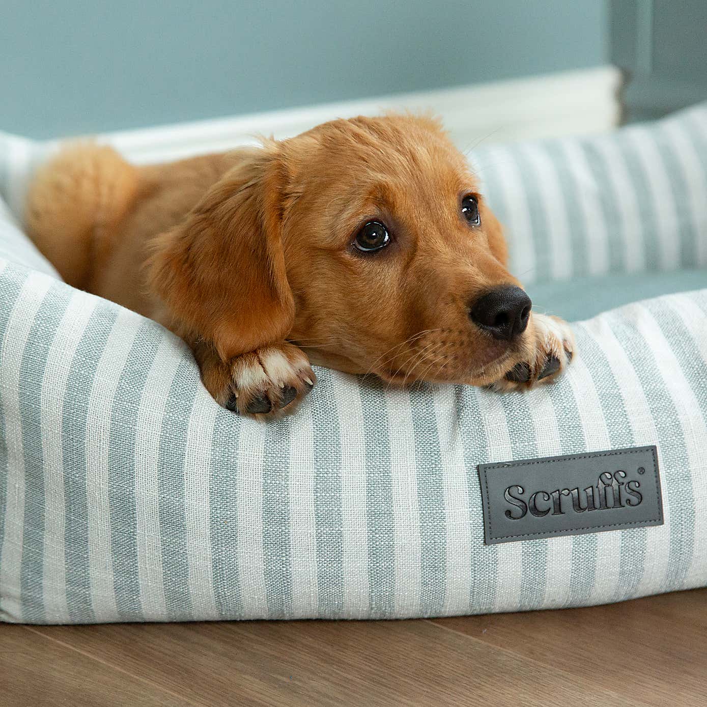Scruffs Luxury Coast Dog Box Bed