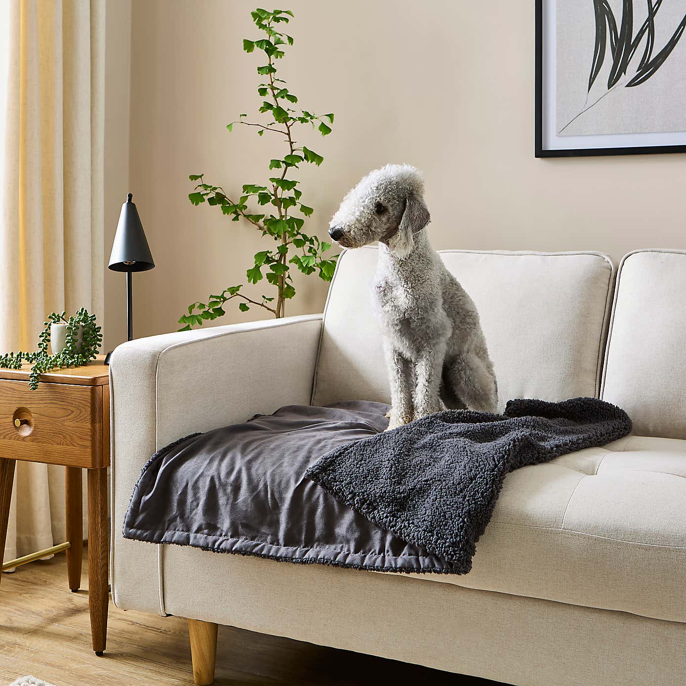 Soft & Cosy Pet Blanket