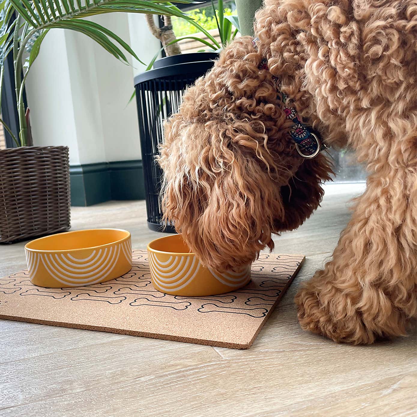 Set of 2 Scruffs Aztec Bowl Set