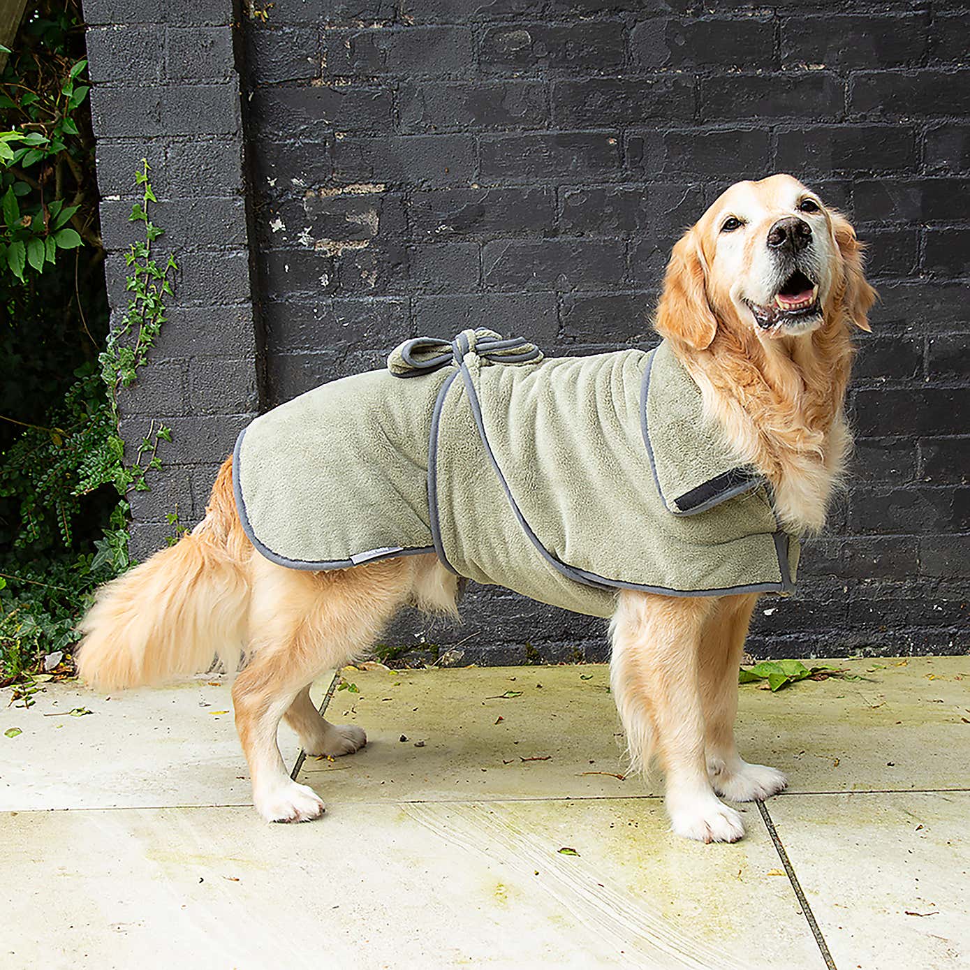 Scruffs Expedition Dog Drying Robe